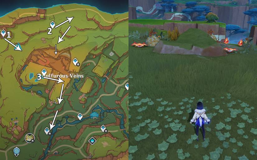 Ember Rise Flower Where to find Embercore Flowers in Genshin Impact
