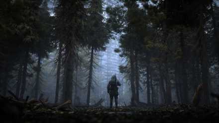 A soldier walks into a forest clearing