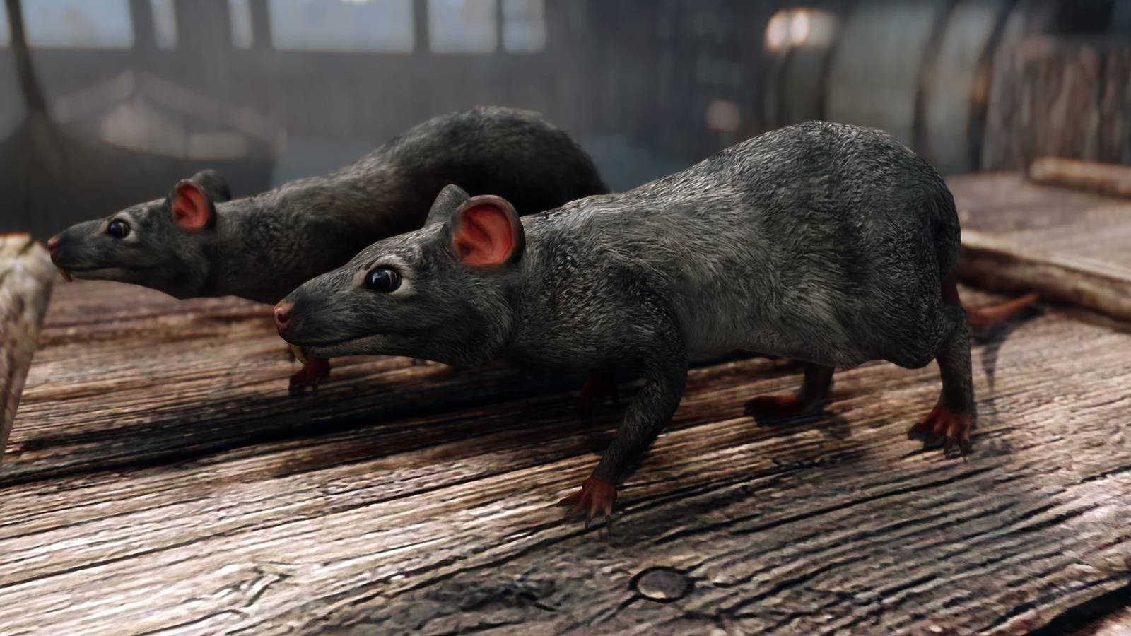 Skyrim is somehow even better with this rat mod