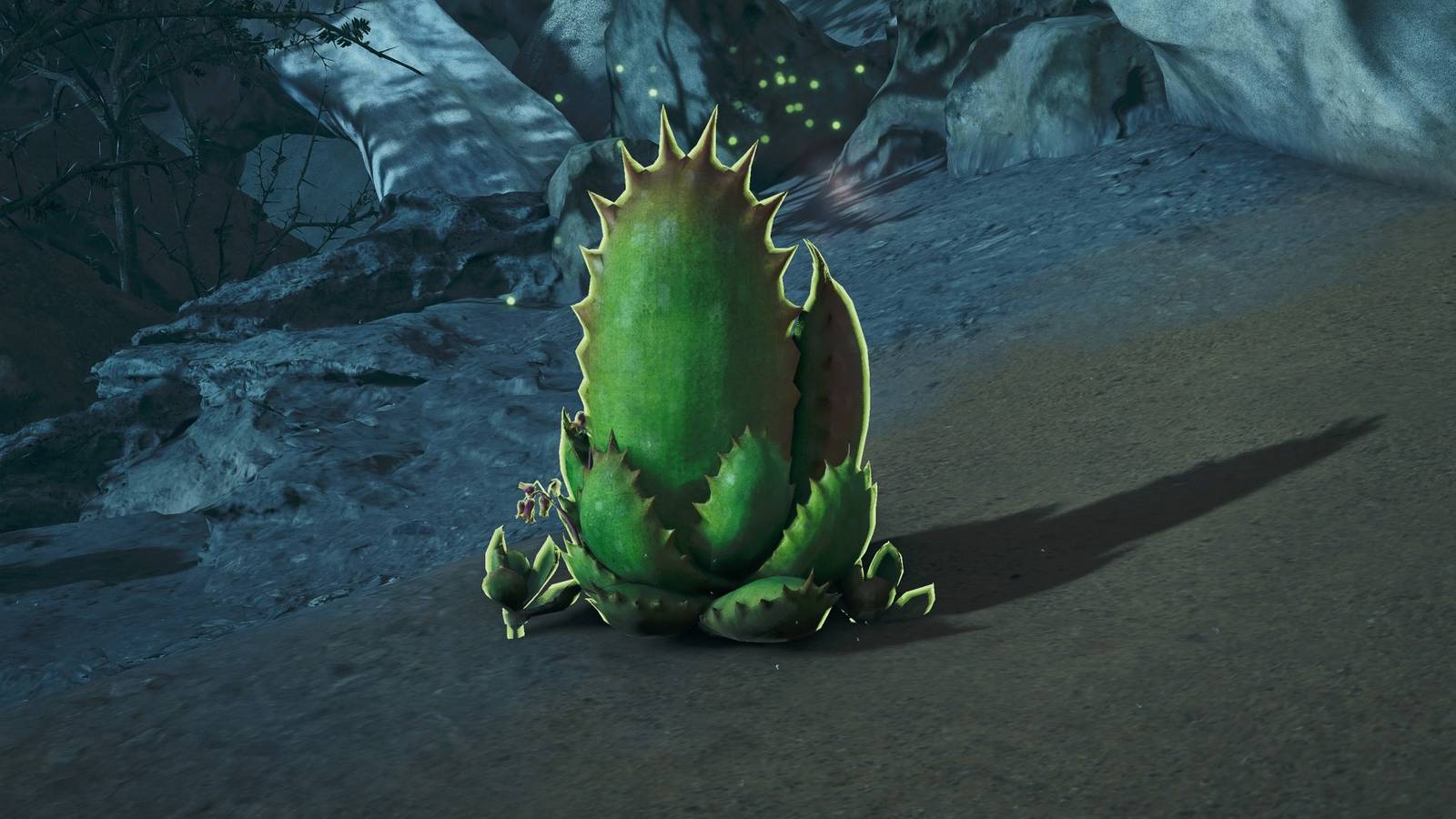 How to get Great Windward Aloe in Monster Hunter Wilds
