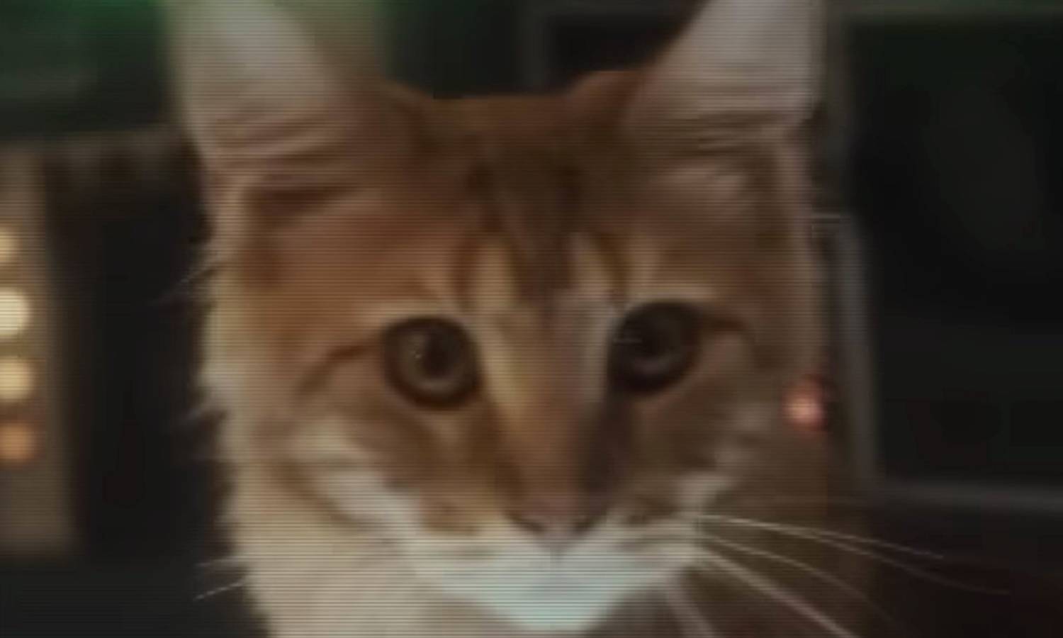 Alien: Earth trailer intros a cat, kicks off a theory