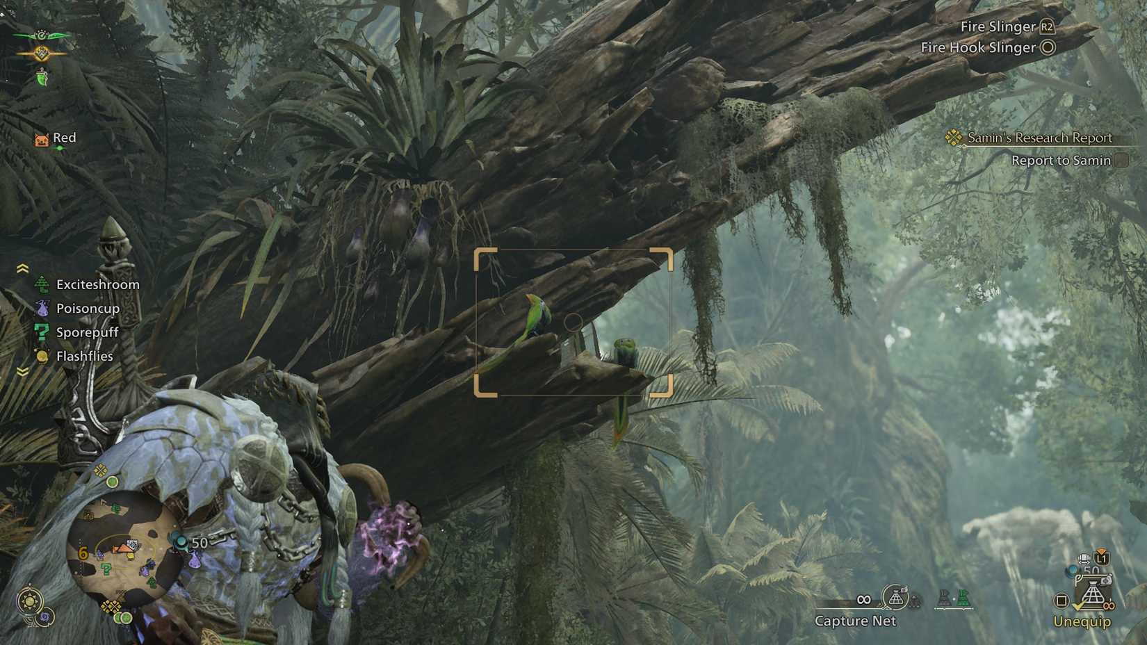 Dapperwing Location How to find dapperwing locations in Monster Hunter Wilds
