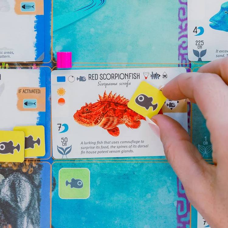 The best new board games of 2025 so far