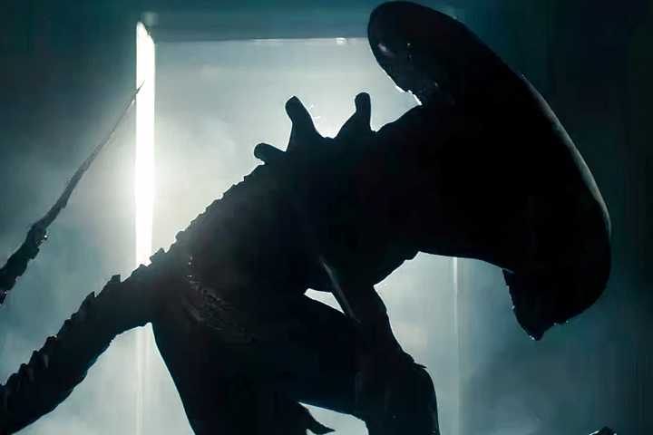 Alien Polygon Alien | Polygon.com