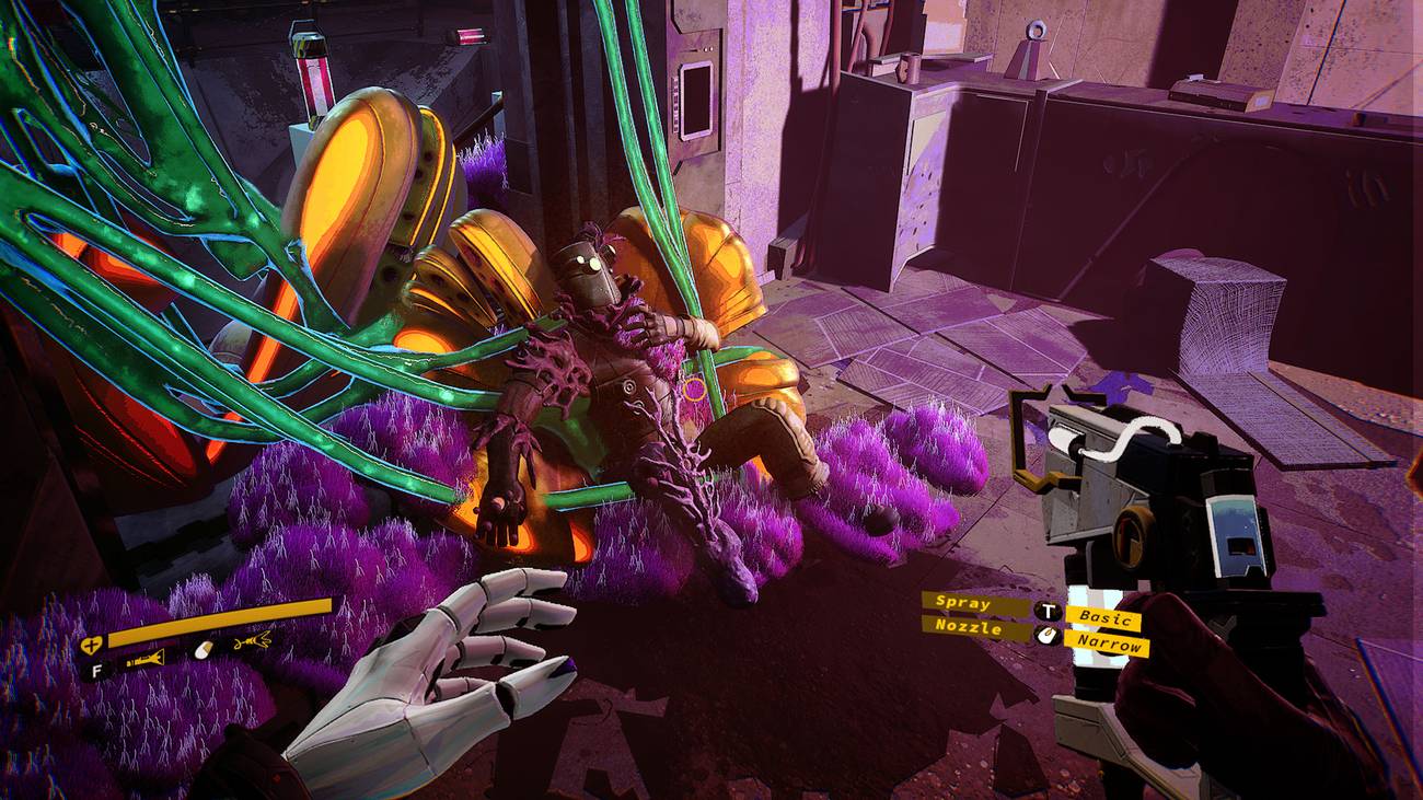 एम्ब्रोसिया आकाश: एक मृत शरीर बैंगनी कवक में कवर किया गया