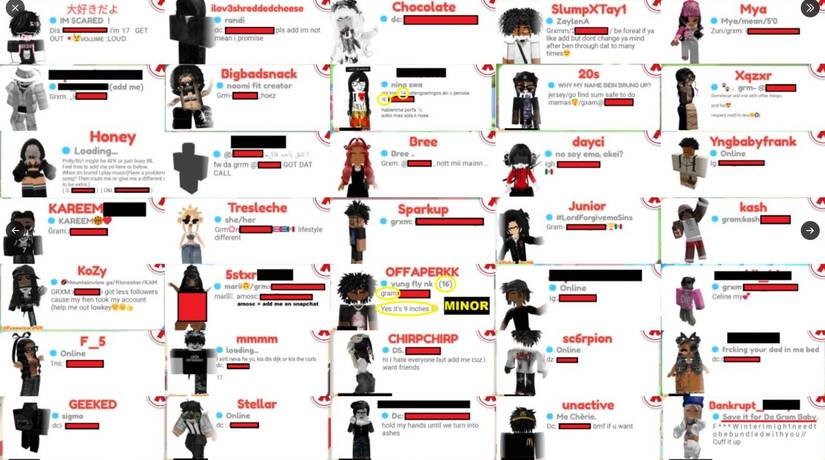A collection of player biographies in Meep City, a controversial Roblox game known for being a dating hub full of inappropriate content. 