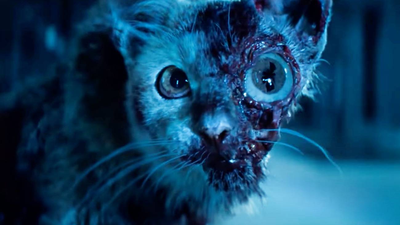 Earth cast & crew talk art, eyeball aliens, and 'the ghost of Giger' T. ocellus takes up residence in the skull of a once-deceased cat.