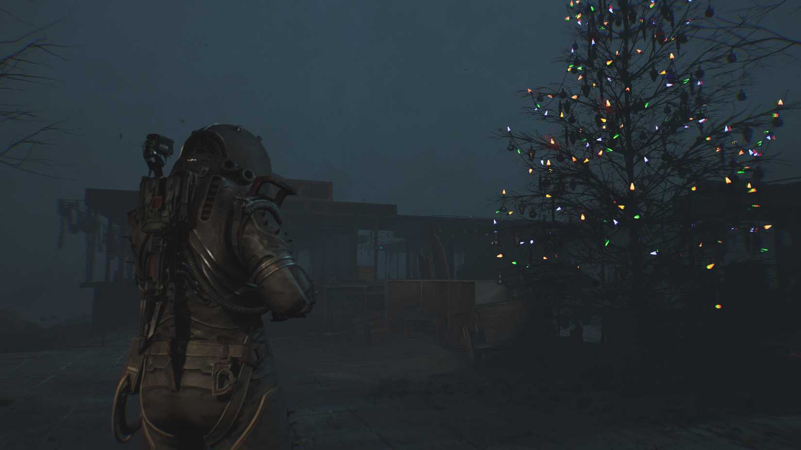 The Traveler looks at a Christmas tree.