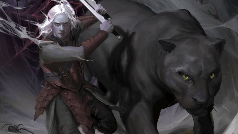 Drizzt and Guenhwyvar on the cover of R.A. Salvatore's Homeland