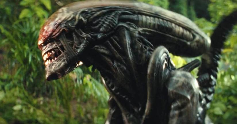 A xenomorph in Alien Earth