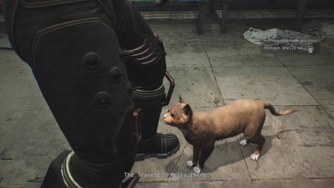 The Traveler pets a cat.