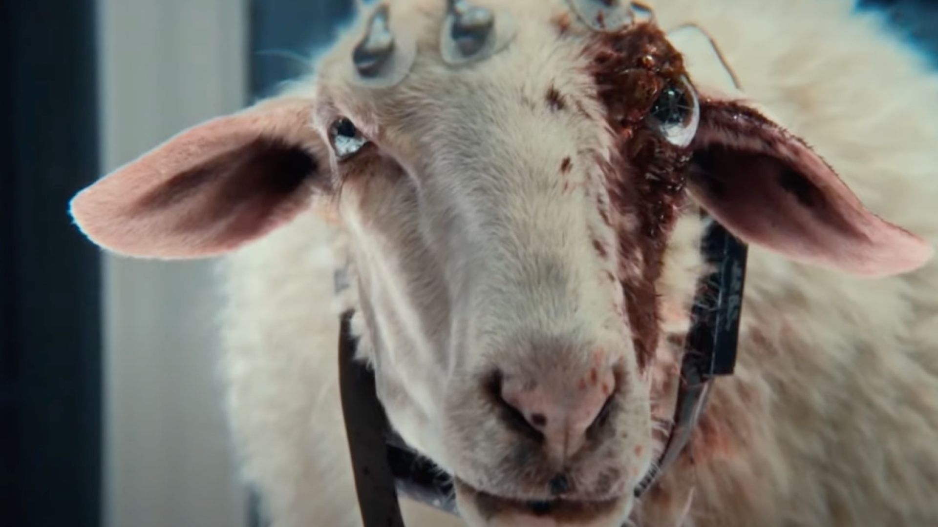 The eyeball alien got no payoff in Alien: Earth's finale, and I'm