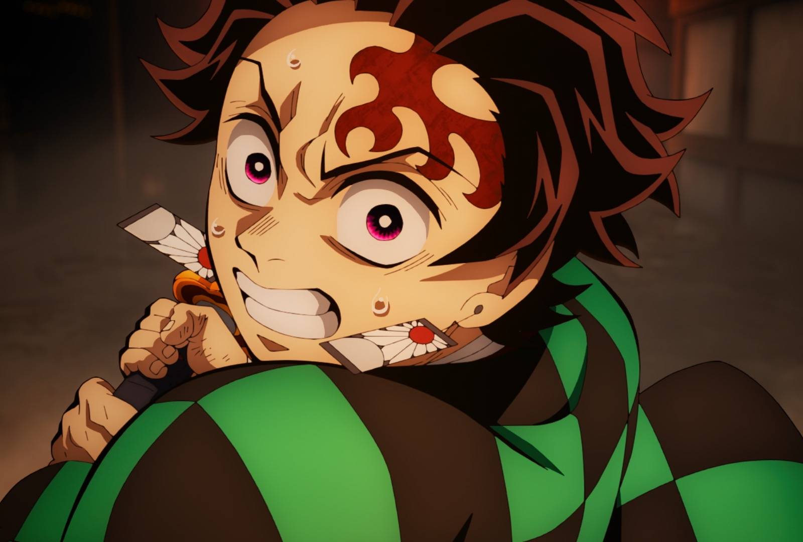 Pokémon de Film: Geheimen van de Jungle, image size:1600x1080