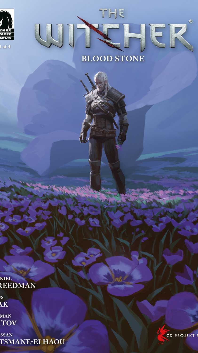 Cover variant by Axel Sauerwald
