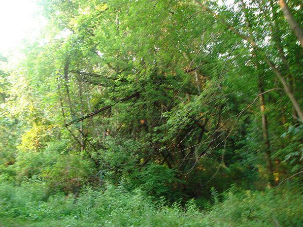 Chippewa Lake Park