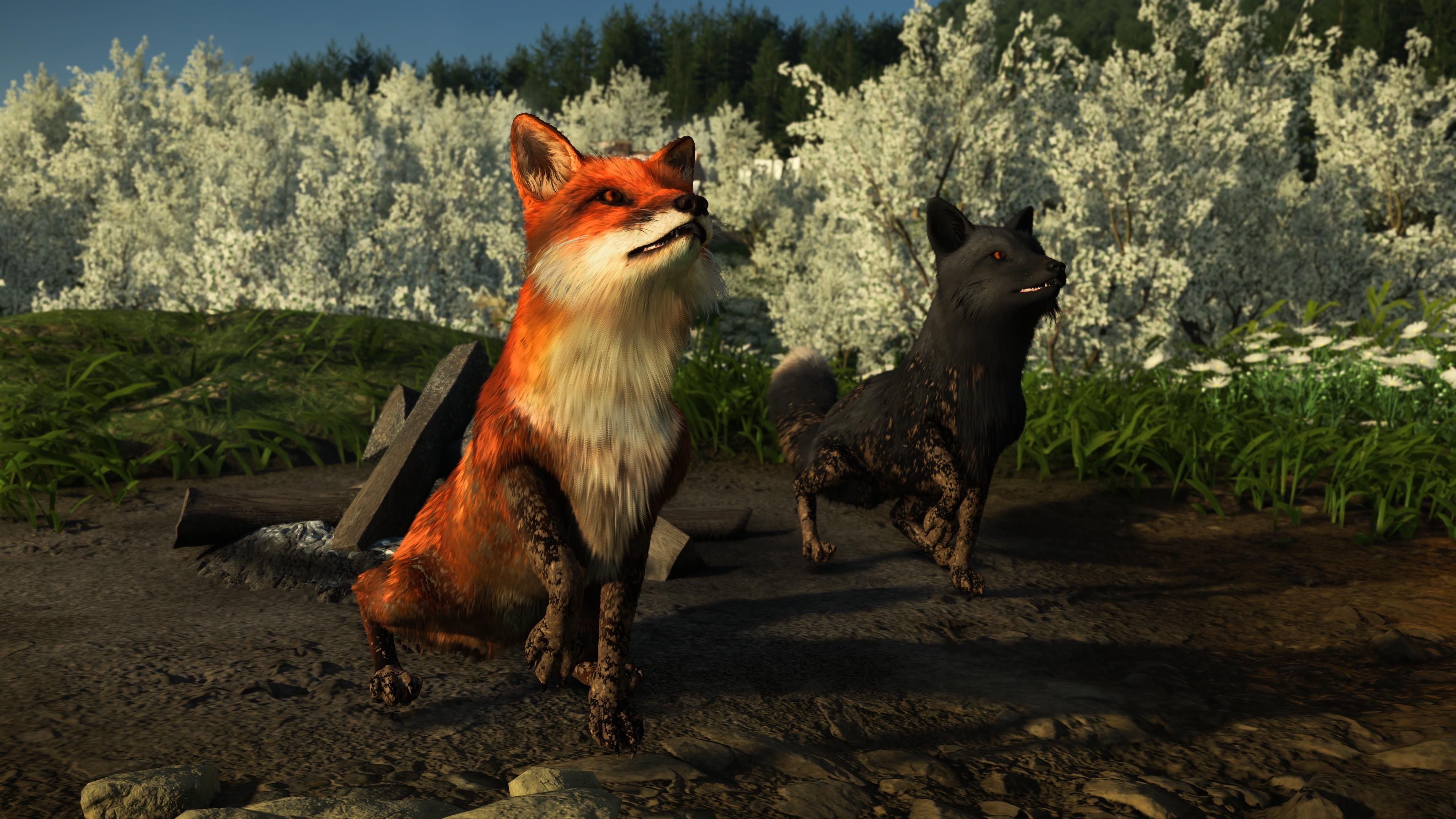 Ghost of Yotei's bamboo strikes feature an audience of baby foxes