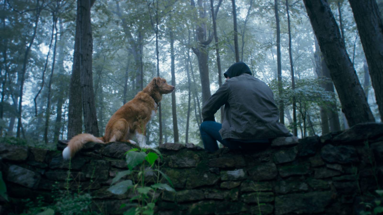 Indy the golden retriever sitting on a log next to his owner Todd in the horror film Good Boy