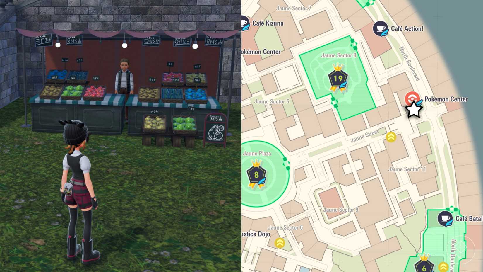 A Pokémon trainer stands in front of a berry stall on North Boulevard.