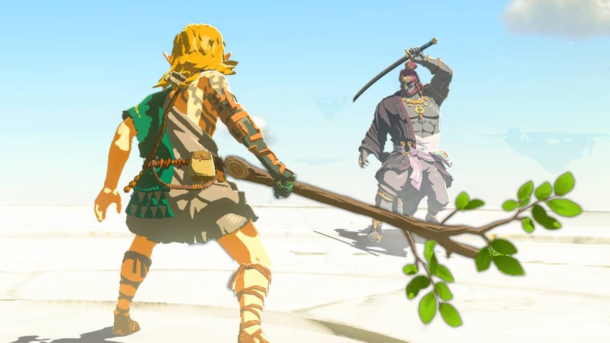 Zelda: Tears of the Kingdom – 37-Hour Beat with Just a Stick! Zelda: Tears of the Kingdom – 37-Hour Beat with Just a Stick!