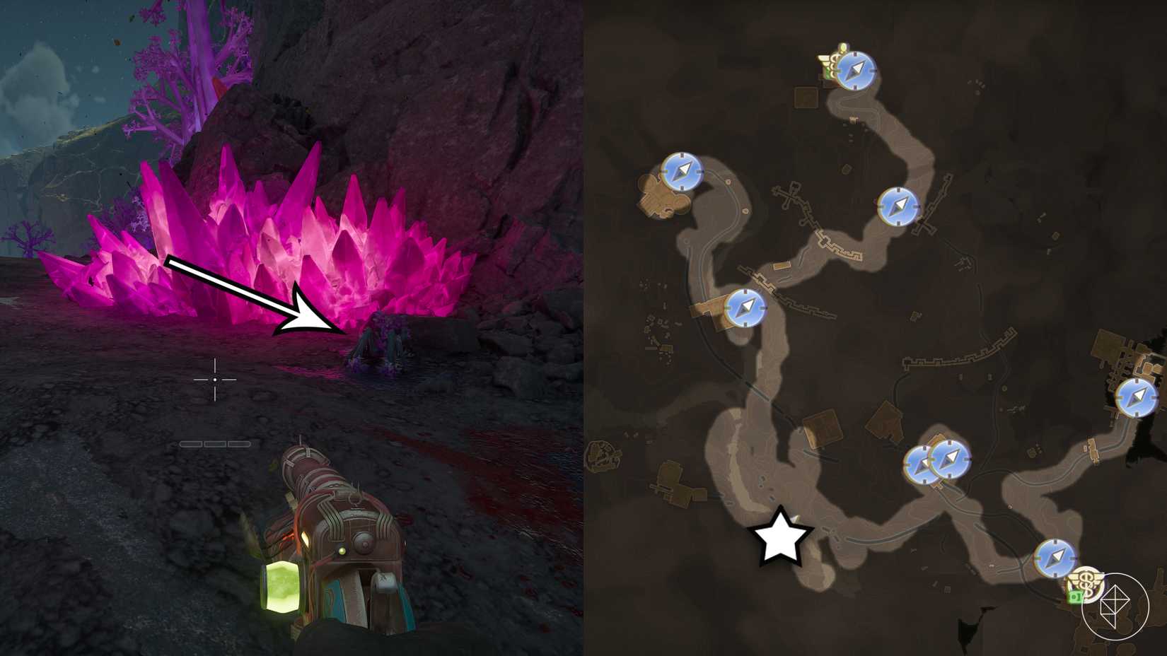 A pet location in The Outer Worlds 2.