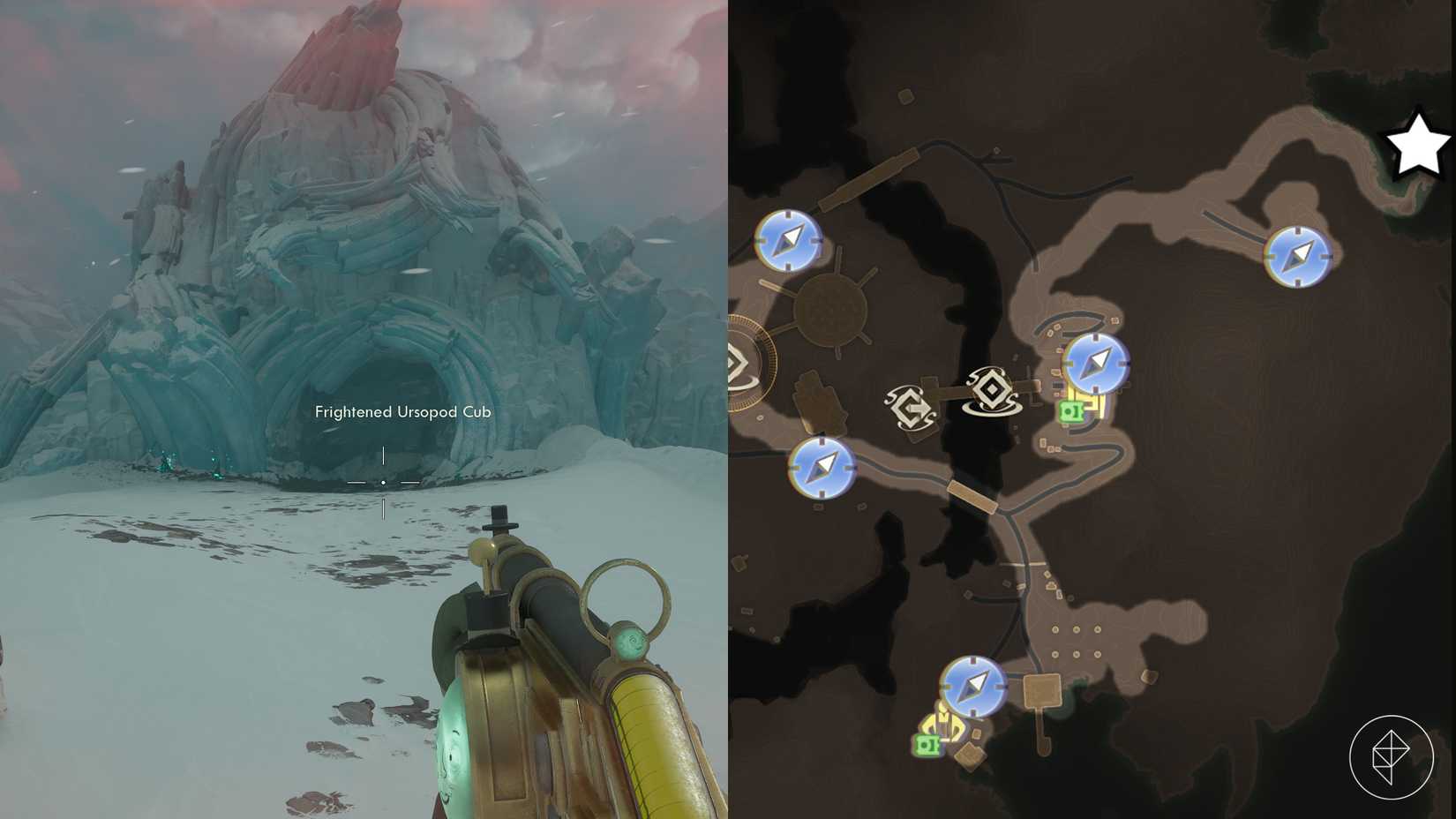 A pet location in The Outer Worlds 2.