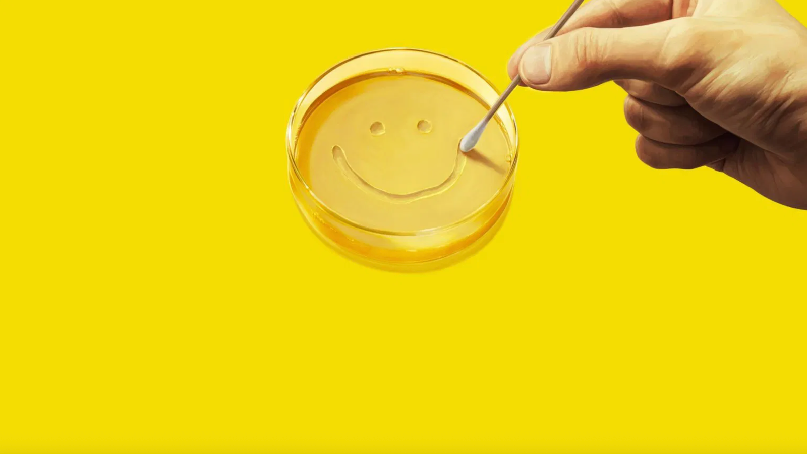 Vince Gilligan’s Sci‑Fi Series Pluribus Inspired by “Quasi‑Legit” Science and Caribbean Fish Vince Gilligan’s Sci‑Fi Series Pluribus Inspired by “Quasi‑Legit” Science and Caribbean Fish