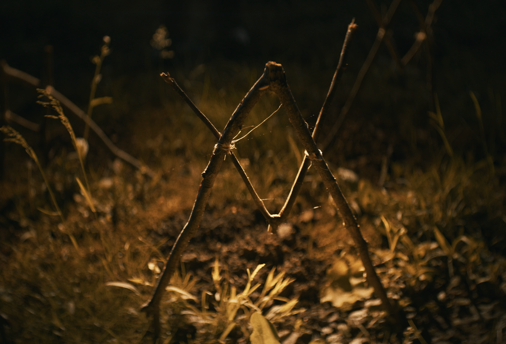 Shelby Oaks - ภาพนิ่งภาพยนตร์