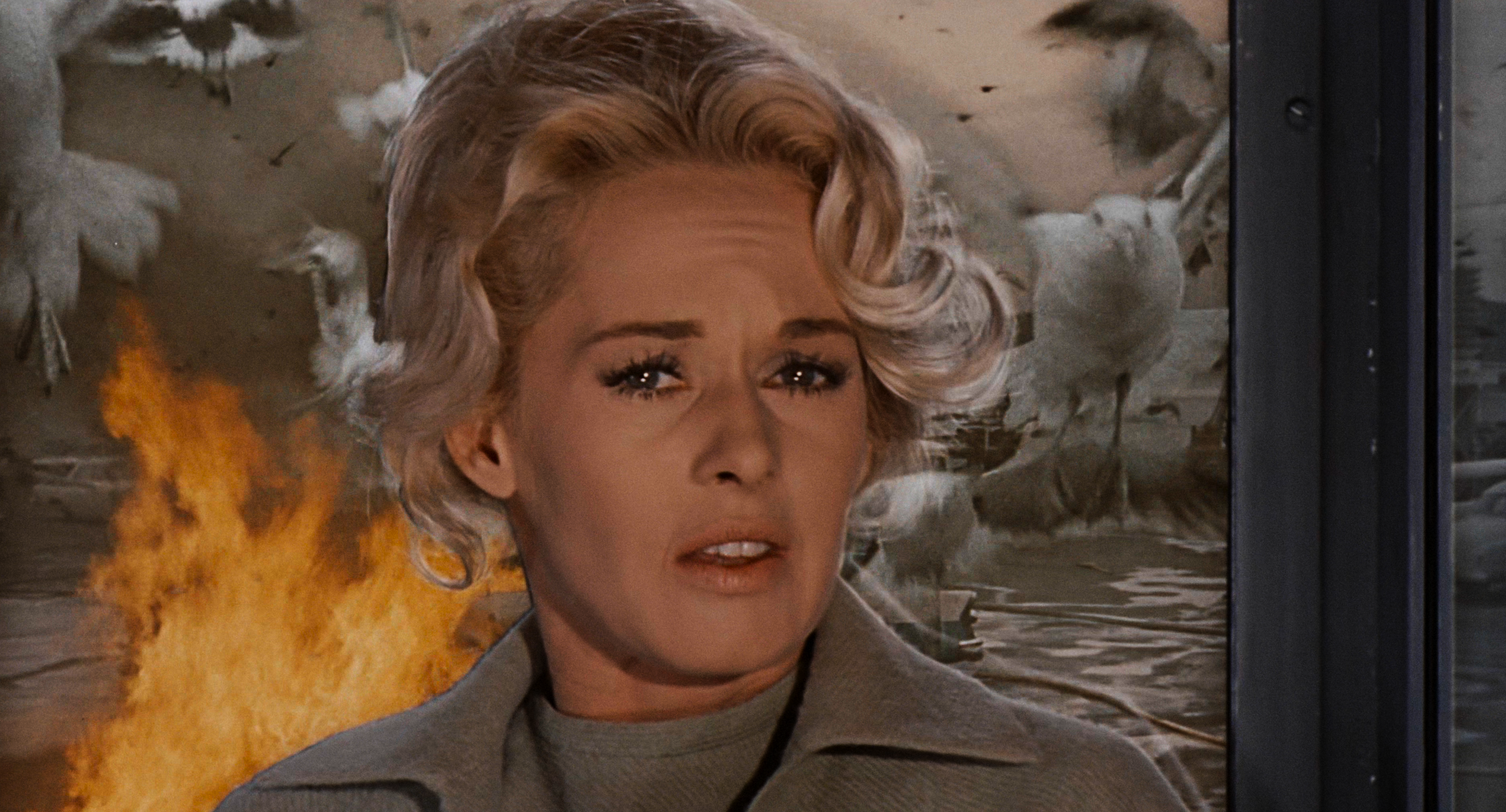 Hitchcock's 'The Birds': The Ultimate Roguelike Horror (And Why It Beats Psycho, According to Polygon)