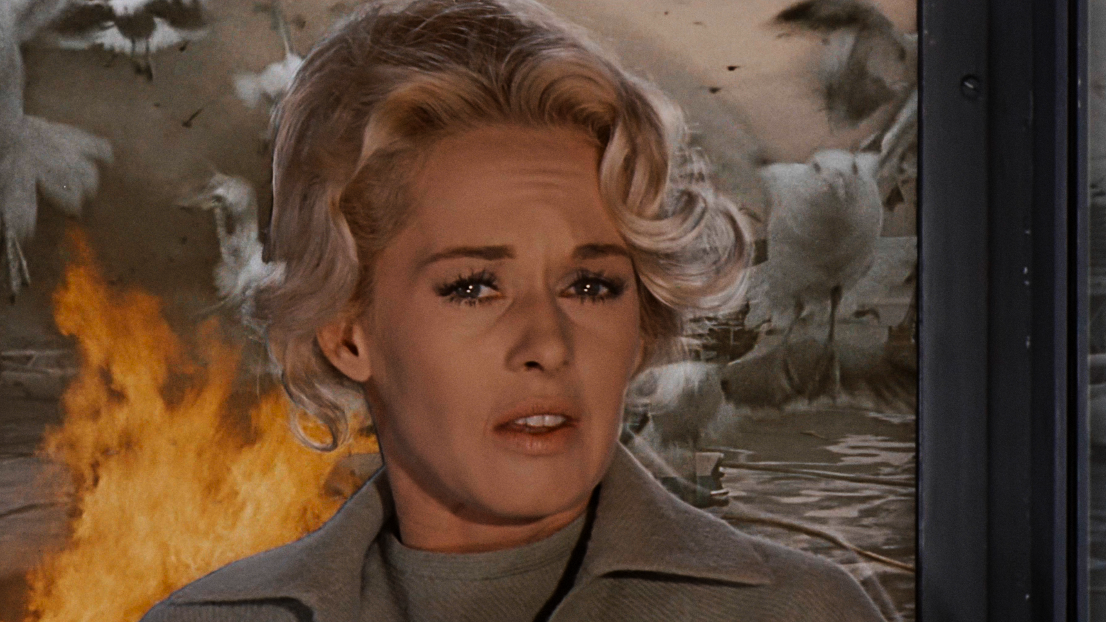 The Birds: Even More Terrifying Than Psycho The Birds: Even More Terrifying Than Psycho