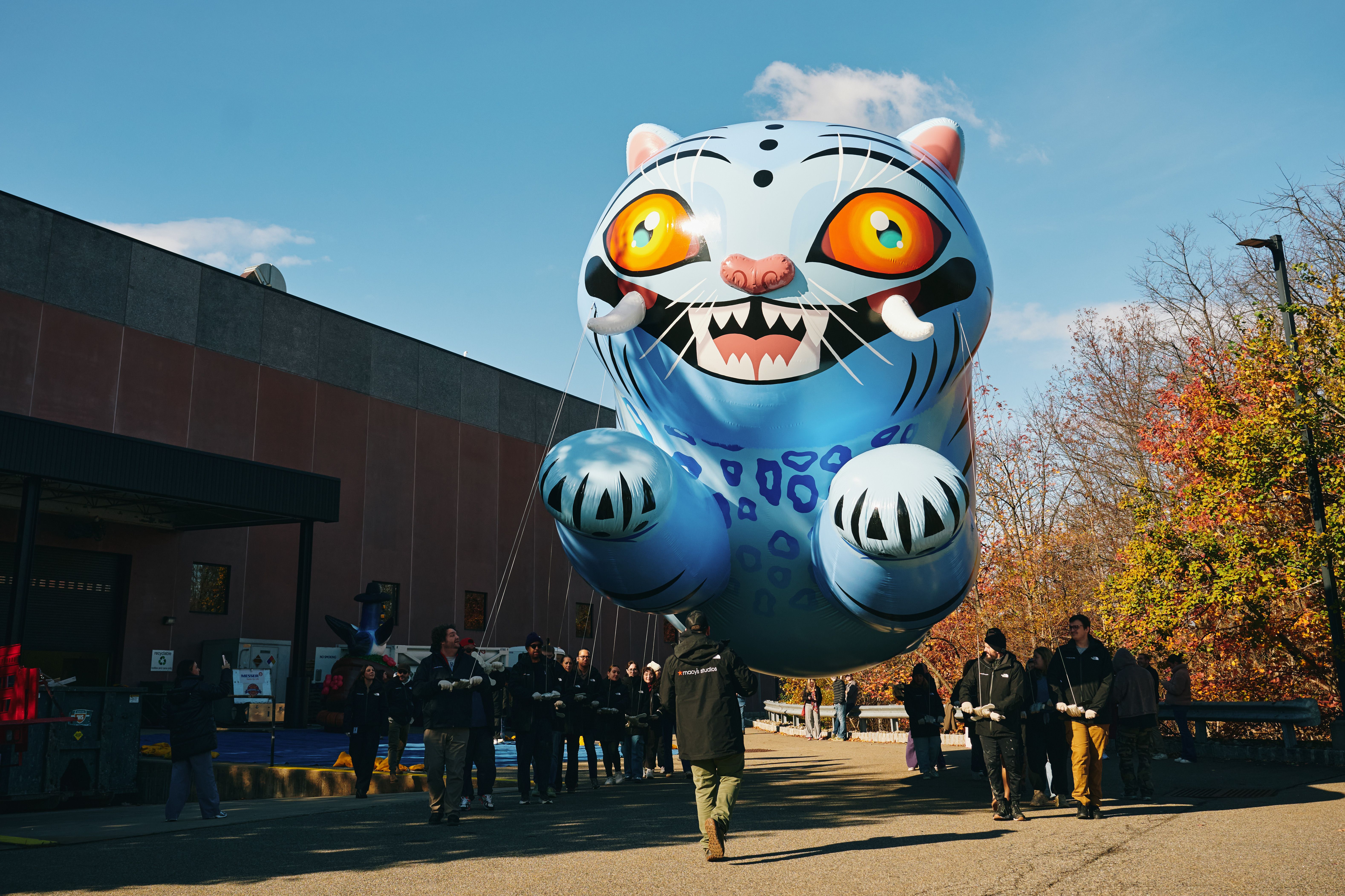 Derpy Tiger & Sussie Test Flight for the 2025 Macy's Thanksgiving Day Parade 07 (Photo Credit_ Macy's)_1