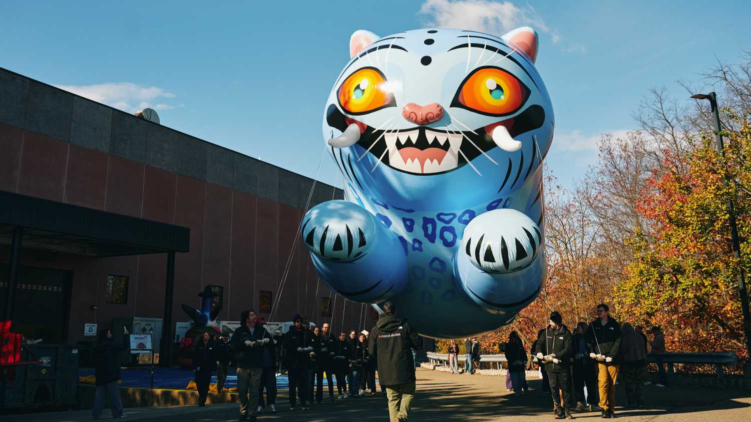 Derpy Tiger & Sussie Test Flight for the 2025 Macy's Thanksgiving Day Parade 07 (Photo Credit_ Macy's)_1