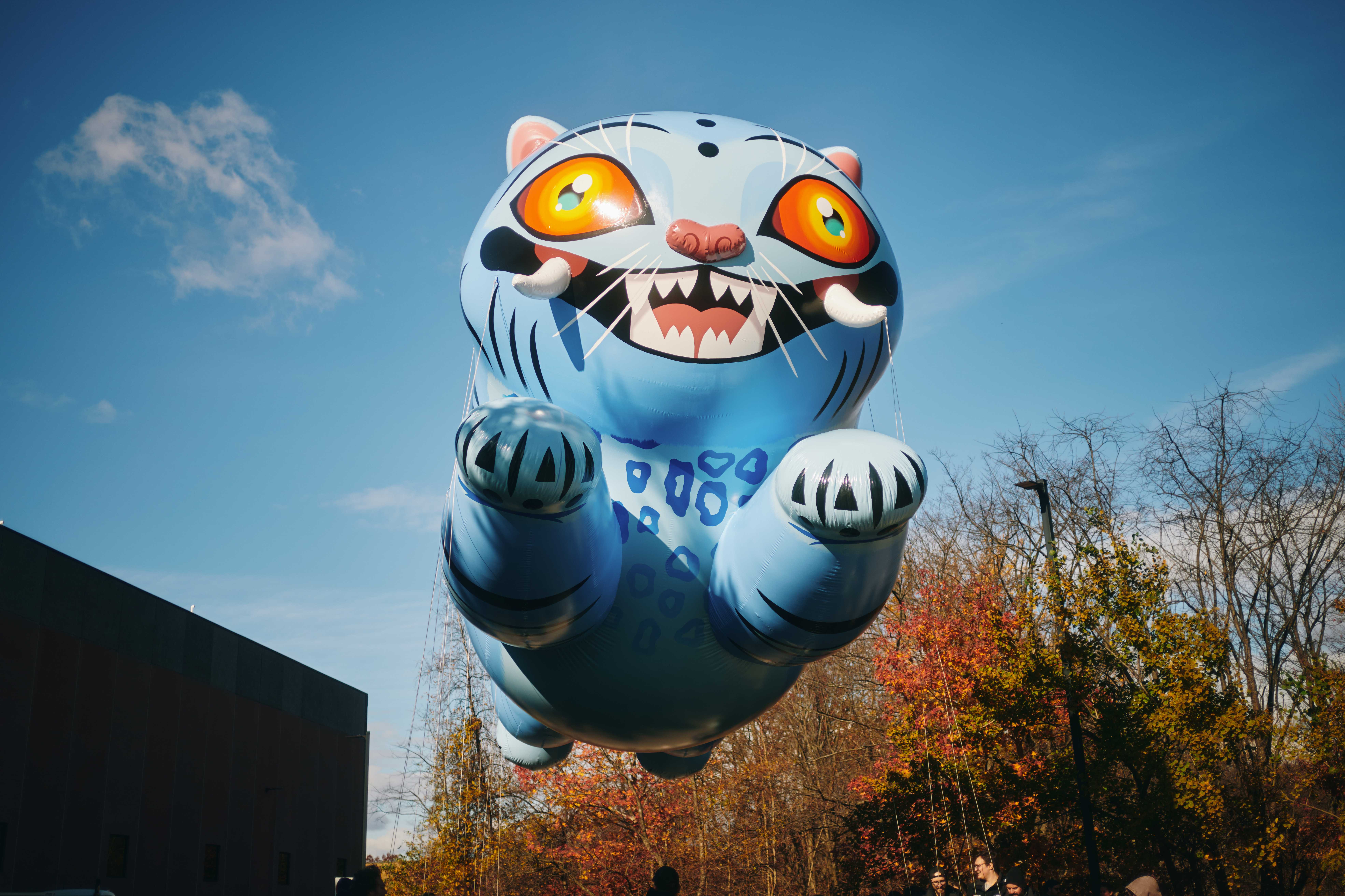 Derpy Tiger & Sussie Test Flight for the 2025 Macy's Thanksgiving Day Parade 08 (Photo Credit_ Macy's)_1