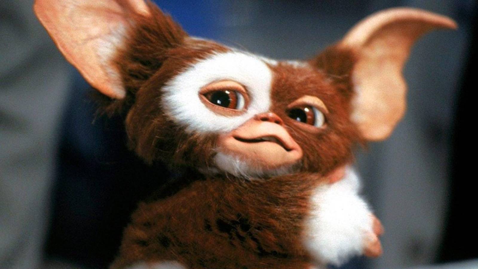 We're really getting a Gremlins 3