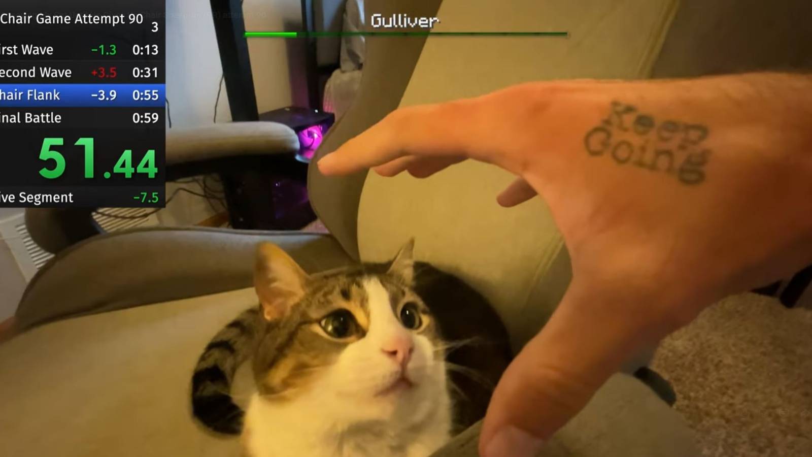 A hand looms over Gulliver the cat's head in a humorous video about annoying your pet for a speedrun.
