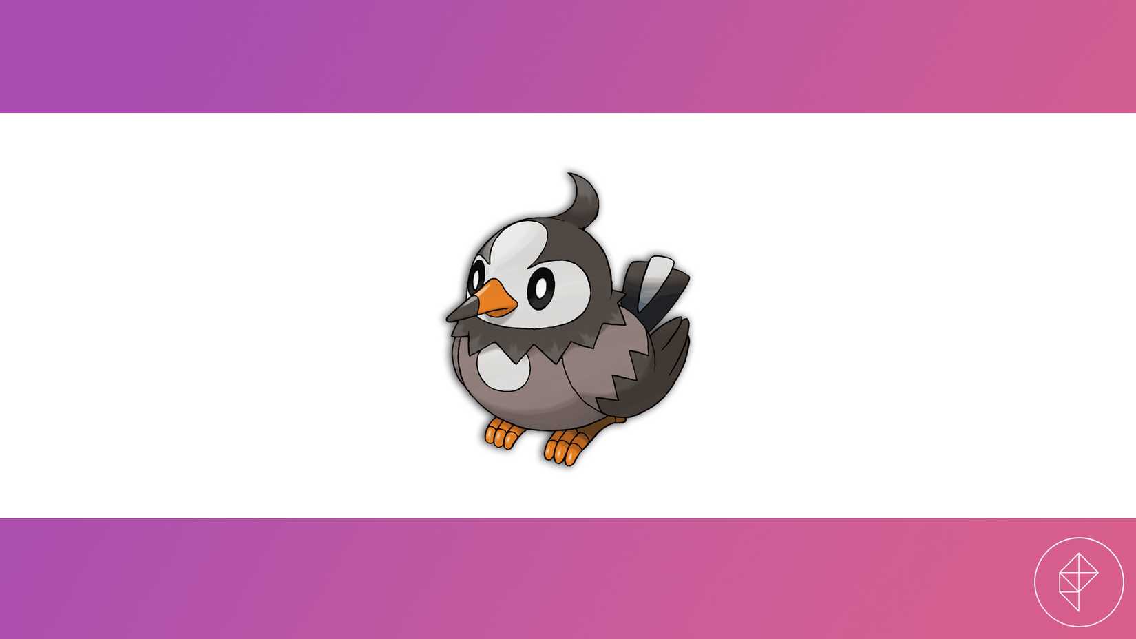 Starly against a pink and white background