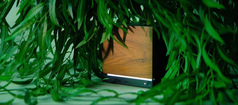 A Steam Machine with wood-colored front panel, that's enveloped in greenery. 