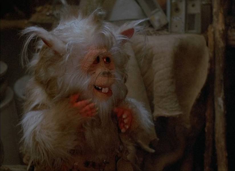 In a scene from the movie Ewoks: The Battle for Endor, a furry non-Ewok creature named Tick giggles at his antics.
