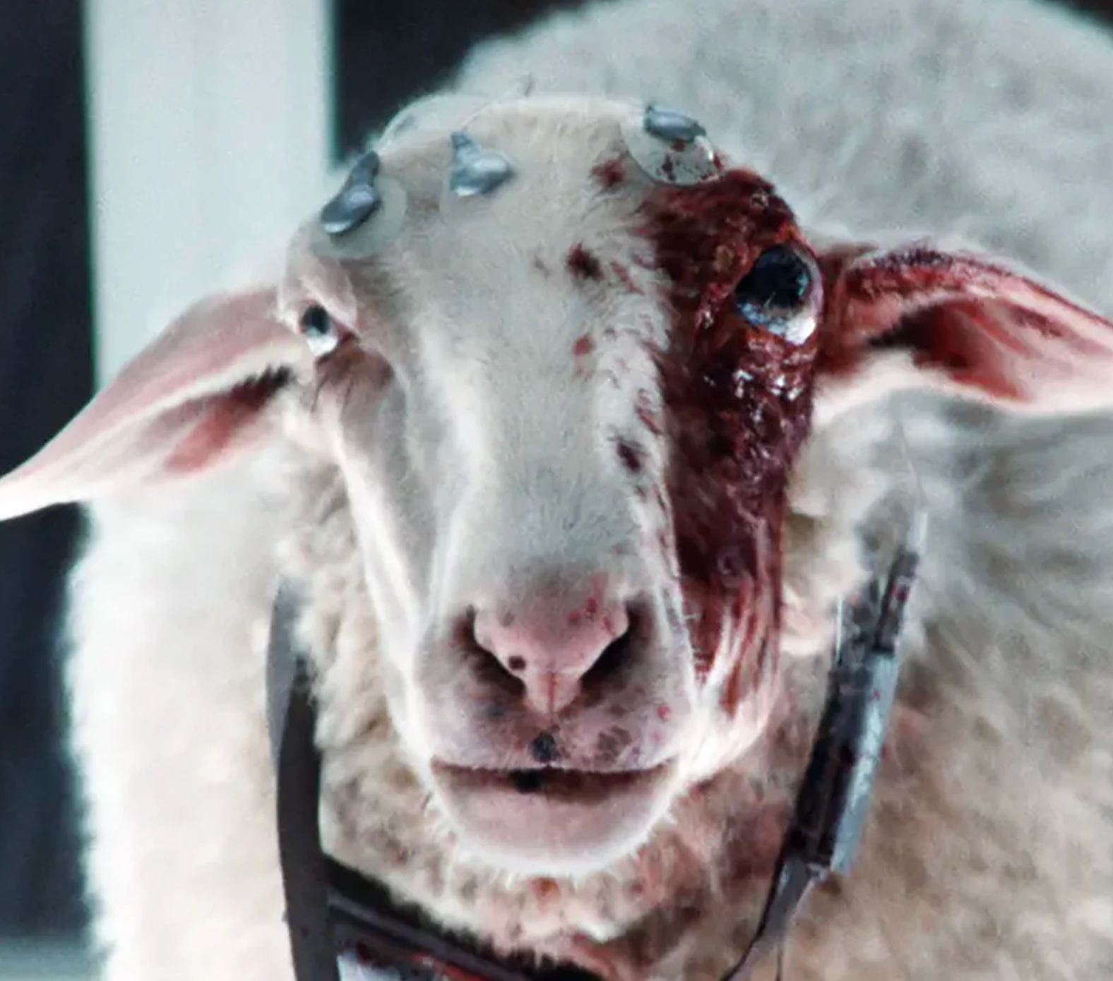 The 10 best horror TV shows of 2025, ranked