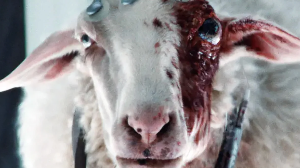 The 10 best horror TV shows of 2025, ranked