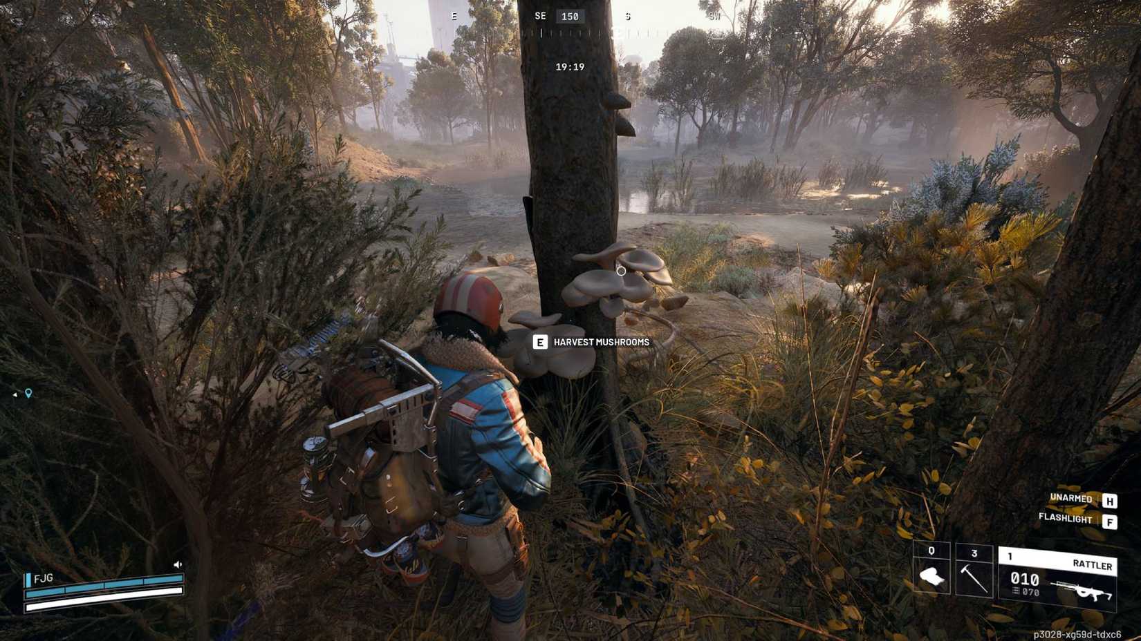 Mushrooms on the side of a tree in Arc Raiders.