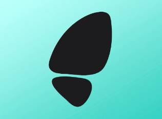 A black decal that looks like a butterfly wing