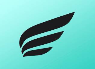 A decal of black monochrome wings