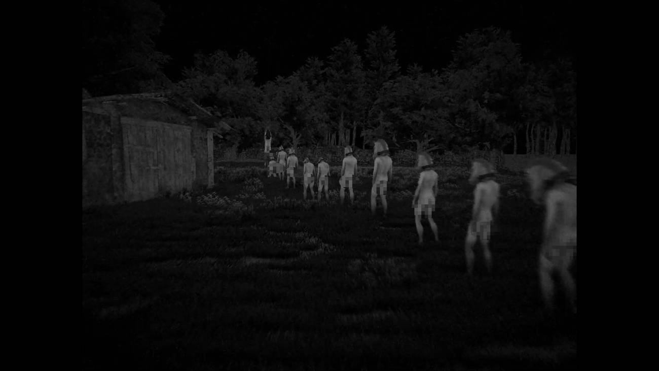 A procession of nude horses walks in a line in Horses.