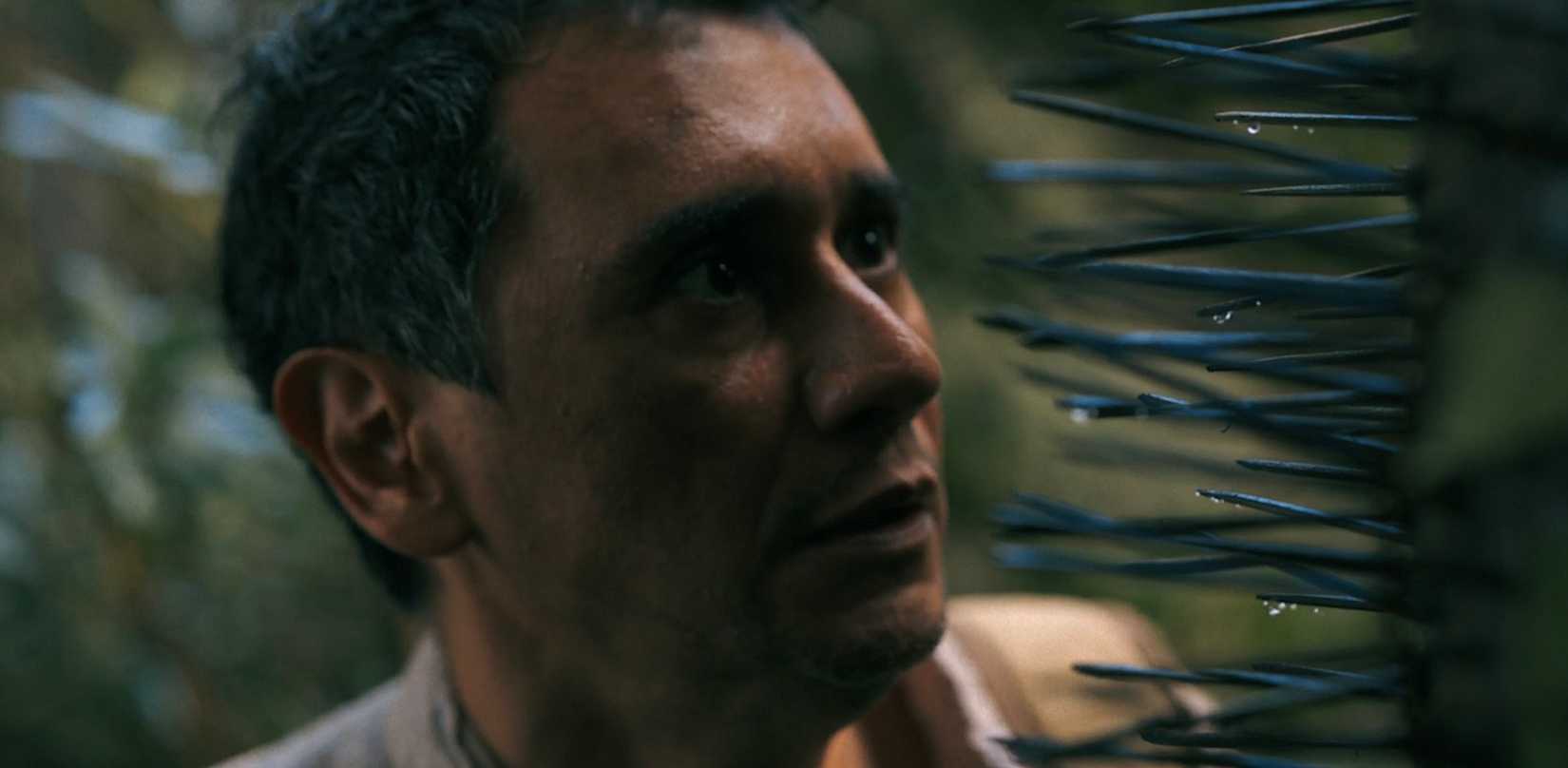 Manousos (Carlos-Manuel Vesga) looks horrified as he stares at the protruding spikes of a chunga palm in Pluribus