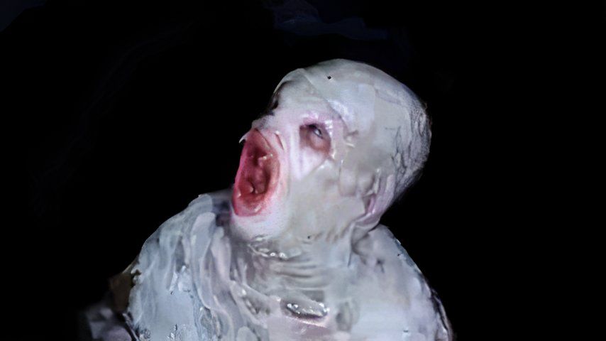 x-files flukeworm