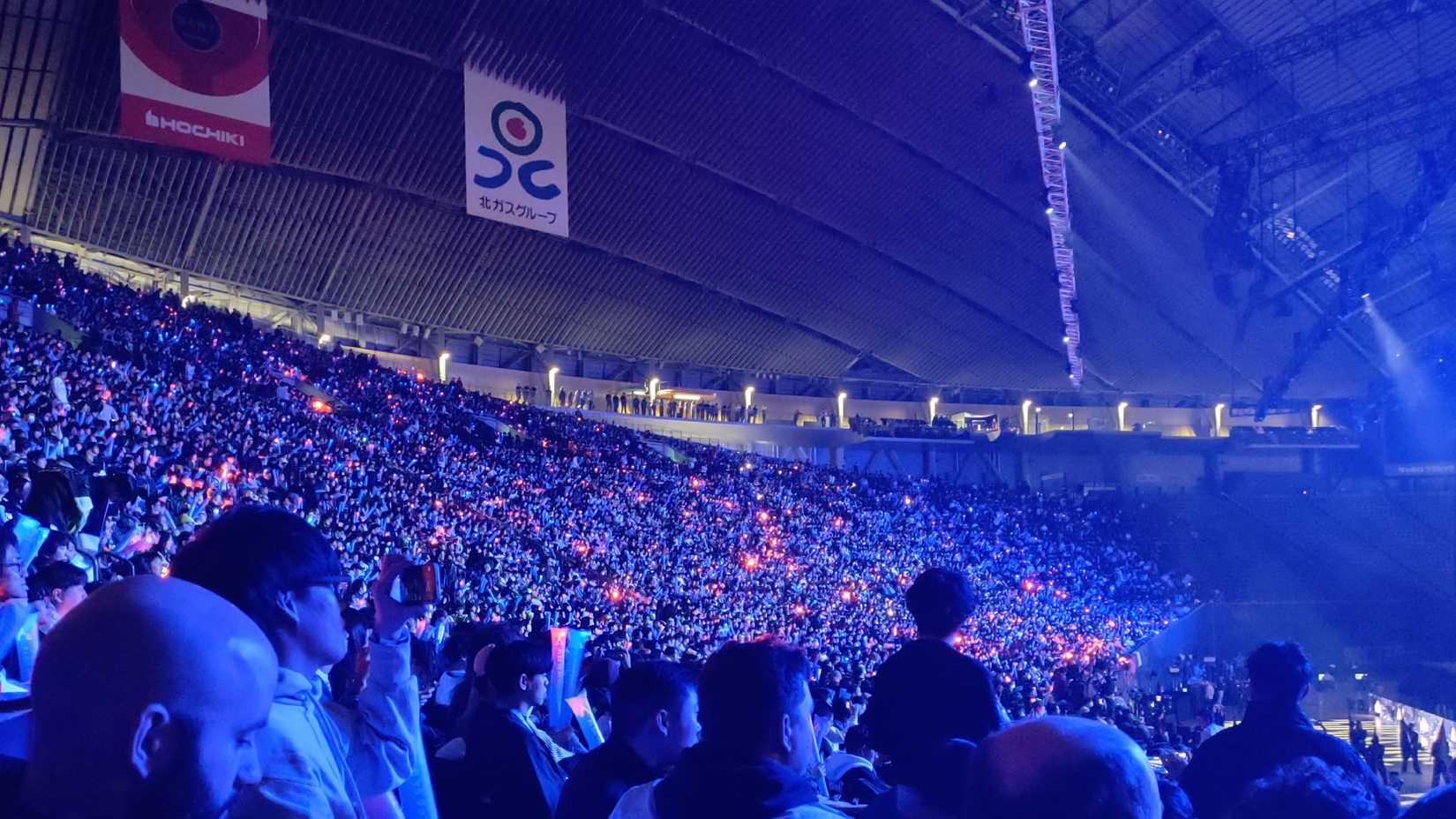 A shot of the ALGS Championship crowd on the final day of the competition. Nearly 15,000 fans attended.