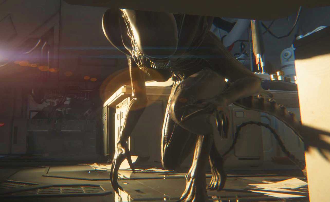 Alien Polygon Gaming | Polygon