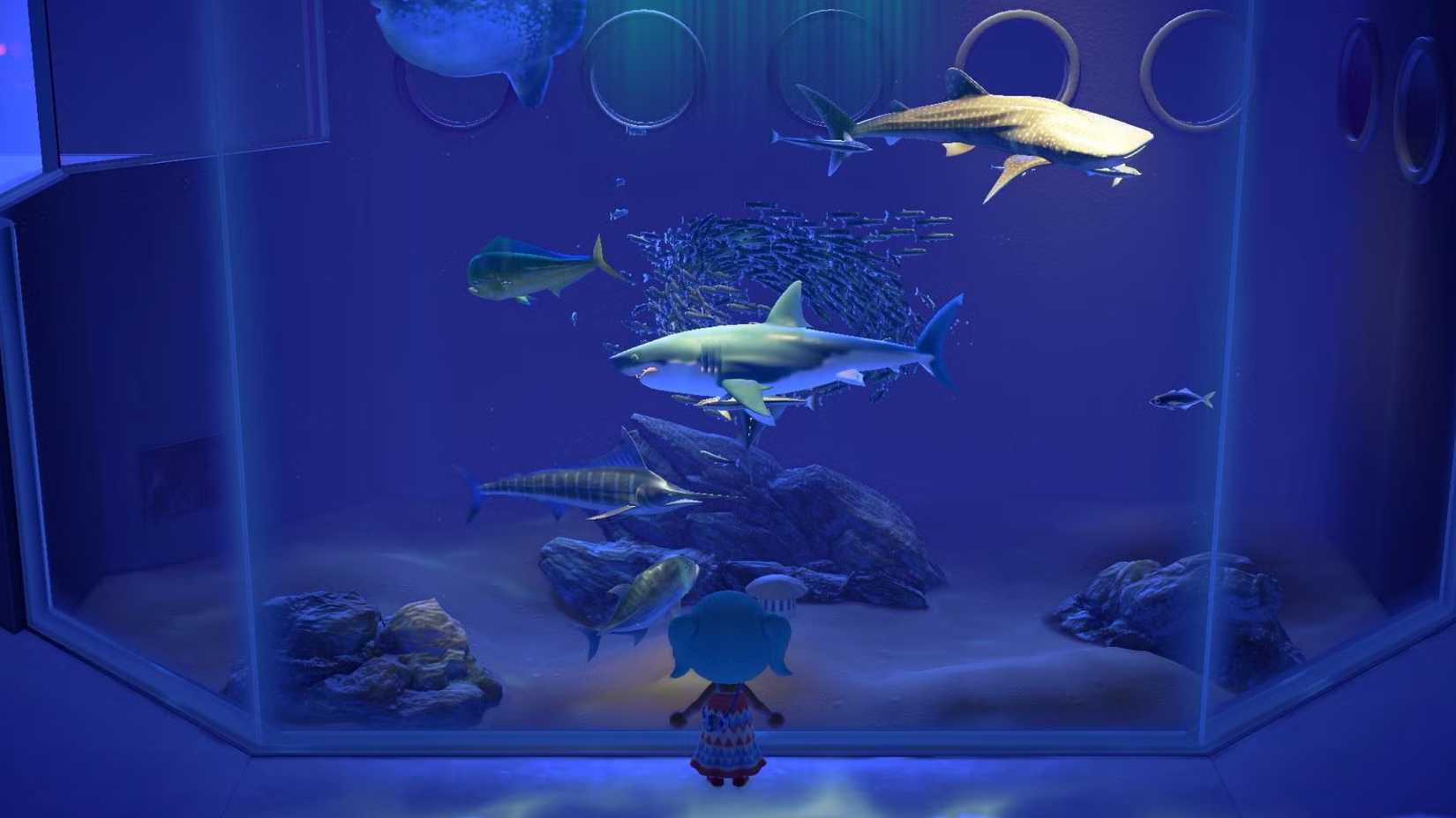 An Animal Crossing: New Horizons player-character stands with her back to the camera, gazing at the in-game aquarium.
