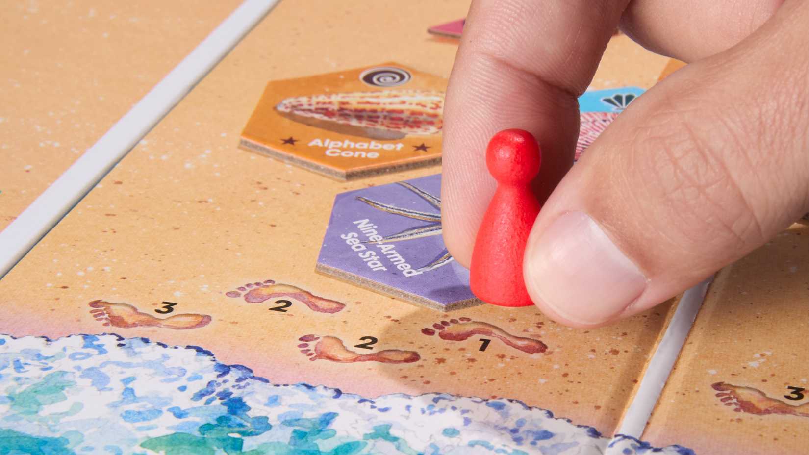 A hand moves a meeple to a space along the beach game board in Elizabeth Hargrave's board game Sanibel