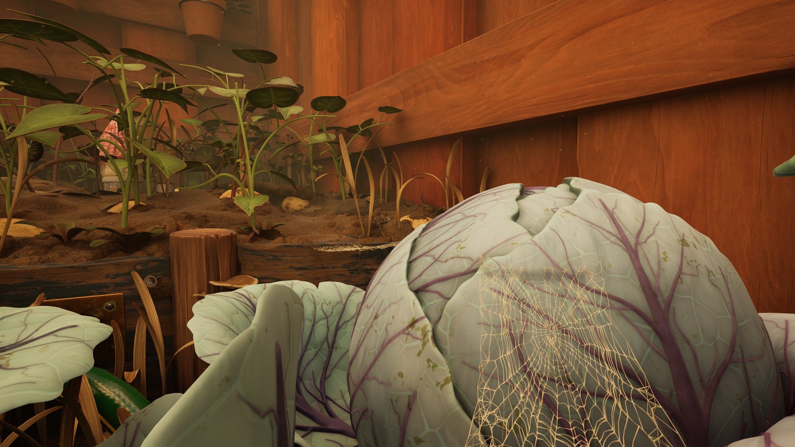 How to get and hatch a ladybug egg in Grounded 2